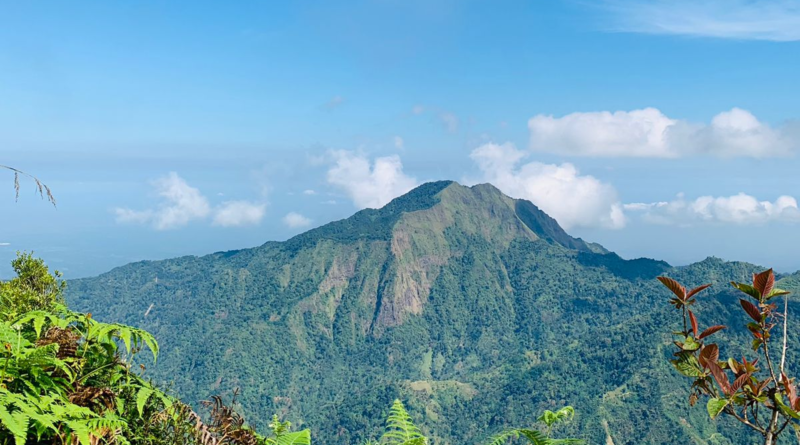 desa wisata japan kudus jawa tengah